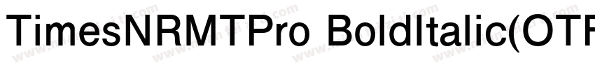 TimesNRMTPro BoldItalic(OTF)字体转换